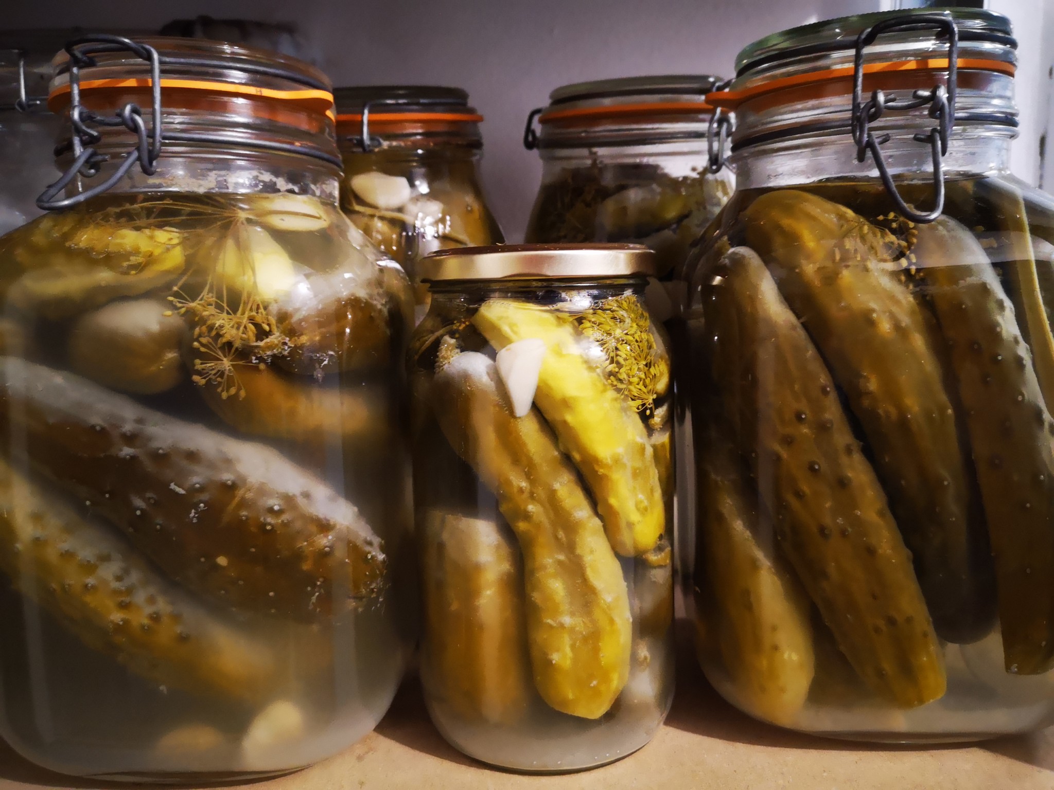 Ogórki kiszone, l’inimitable à la polonaise Itinéraire Bis